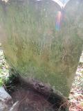 image of grave number 625531